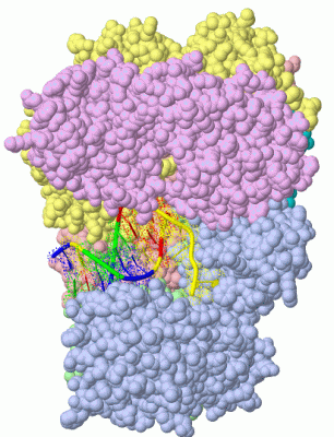 Image Biol.Unit 1 - manually