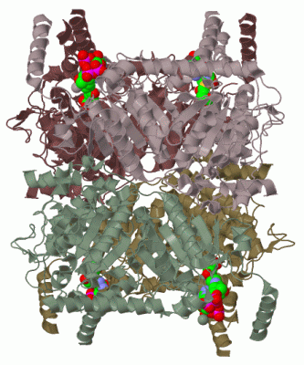 Image Biol.Unit 1 - manually