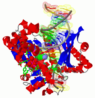 Image Biol.Unit 1 - manually