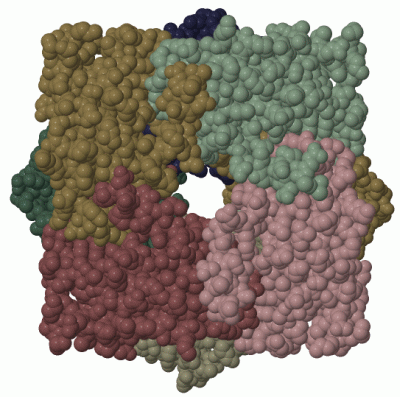 Image Biol.Unit 1 - manually