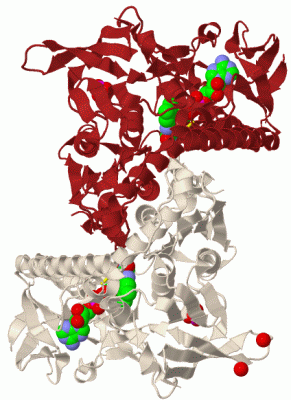 Image Biol.Unit 1 - manually