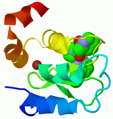 Image Biol.Unit 1 - manually