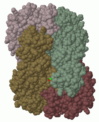 Image Biol.Unit 1 - manually