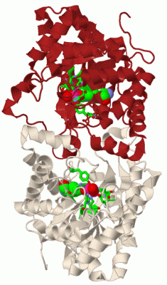 Image Biol.Unit 1 - manually