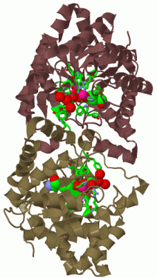 Image Biol.Unit 1 - manually