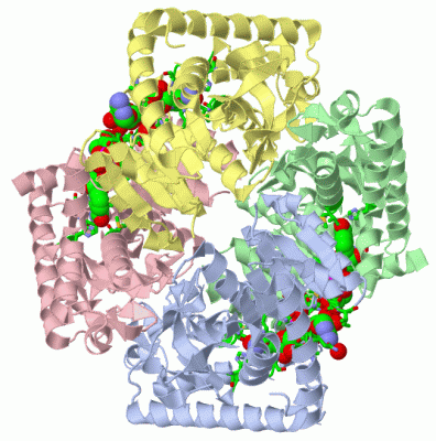 Image Asym./Biol. Unit - manually