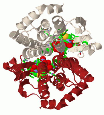 Image Biol.Unit 1 - manually