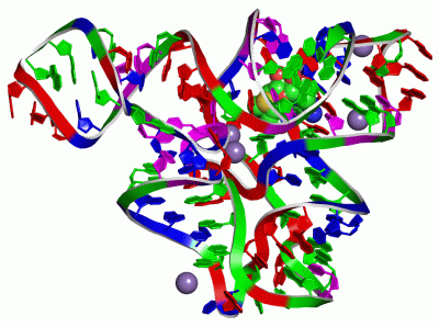 Image Asym./Biol. Unit - manually