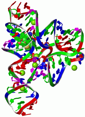 Image Asym./Biol. Unit - manually