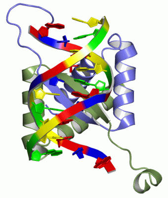 Image Asym./Biol. Unit - manually