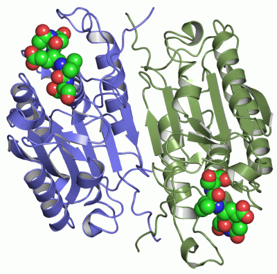 Image Asym./Biol. Unit - manually