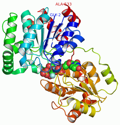 Image Asym./Biol. Unit - manually