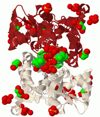 Image Biol.Unit 1 - manually