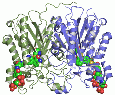 Image Asym./Biol. Unit - manually