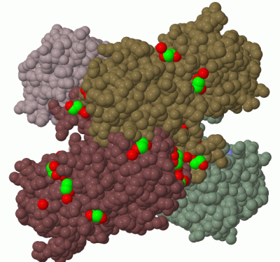 Image Biol.Unit 1 - manually