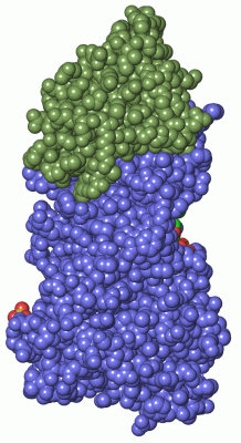 Image Asym./Biol. Unit - manually