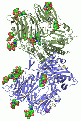 Image Asym./Biol. Unit - manually