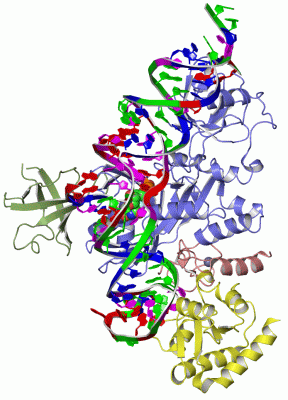 Image Asym./Biol. Unit - manually