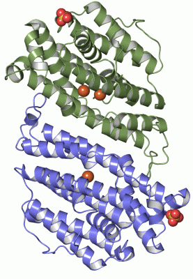 Image Asym./Biol. Unit - manually