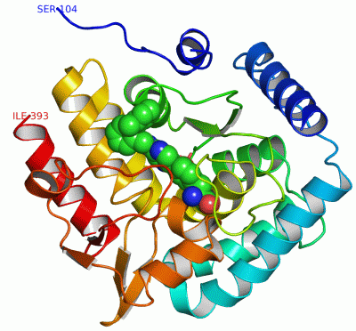 Image Asym./Biol. Unit - manually