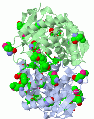 Image Asym./Biol. Unit - manually