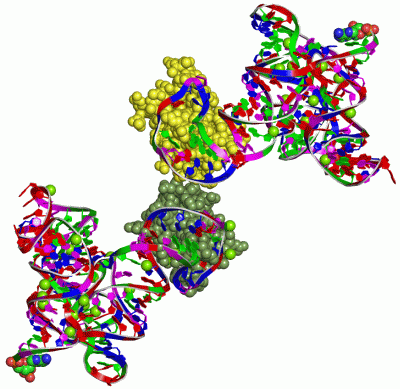 Image Asym./Biol. Unit - manually