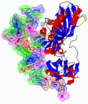 Image Asym./Biol. Unit - manually