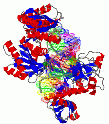 Image Biol.Unit 1 - manually