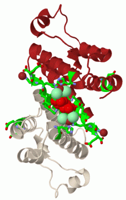 Image Biol.Unit 2 - manually