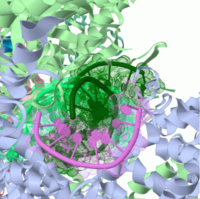 Image Asym./Biol. Unit - manually