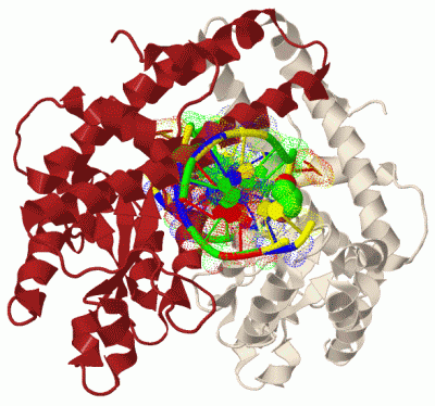 Image Biol.Unit 1 - manually