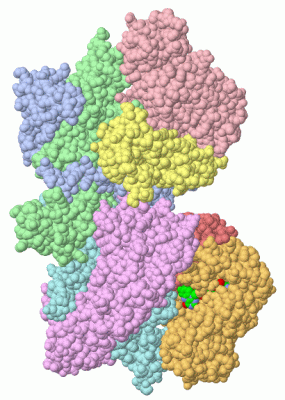 Image Asym./Biol. Unit - manually