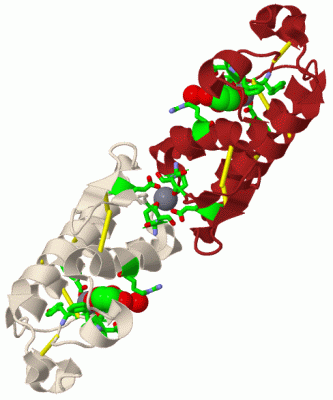 Image Biol.Unit 1 - manually