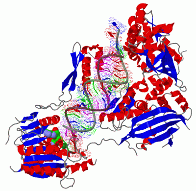 Image Biol.Unit 1 - manually