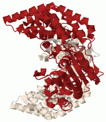 Image Biol.Unit 2 - manually