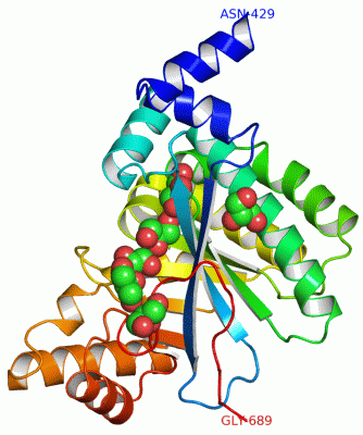 Image Asym./Biol. Unit - manually