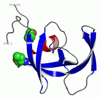 Image Asym.Unit - manually