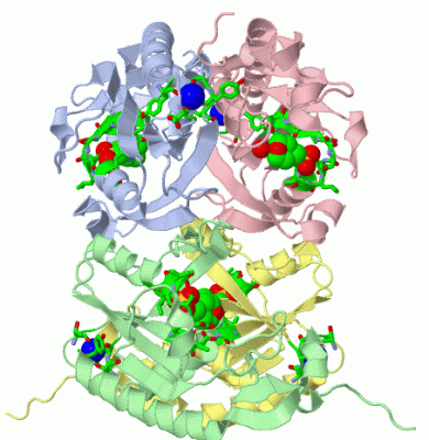 Image Asym./Biol. Unit - manually