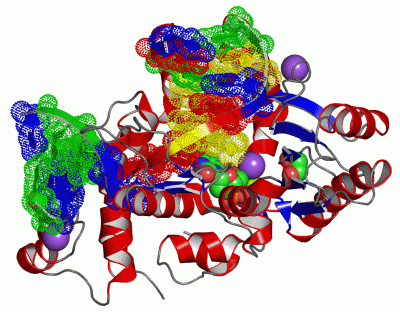 Image Asym./Biol. Unit - manually