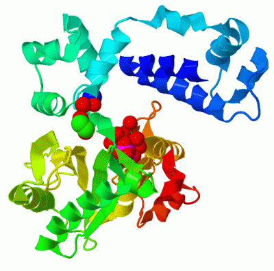 Image Asym./Biol. Unit - manually