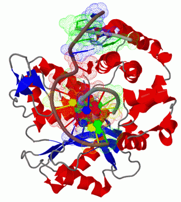 Image Biol.Unit 1 - manually