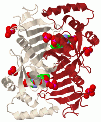 Image Biol.Unit 1 - manually