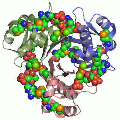 Image Asym./Biol. Unit - manually