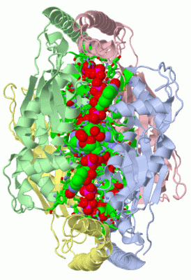 Image Biol.Unit 1 - manually