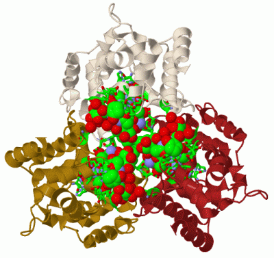 Image Biol.Unit 1 - manually