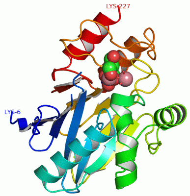 Image Asym./Biol. Unit - manually