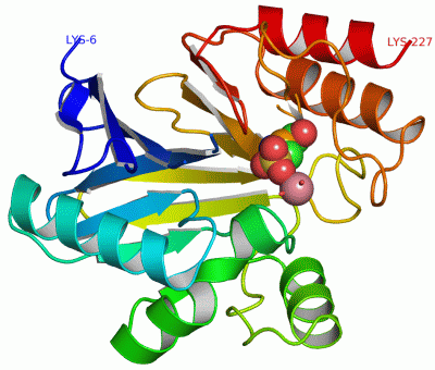 Image Asym./Biol. Unit - manually