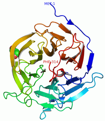 Image Asym./Biol. Unit - manually