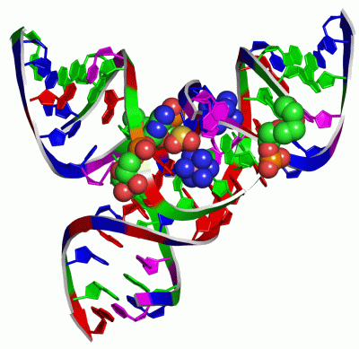 Image Asym./Biol. Unit - manually