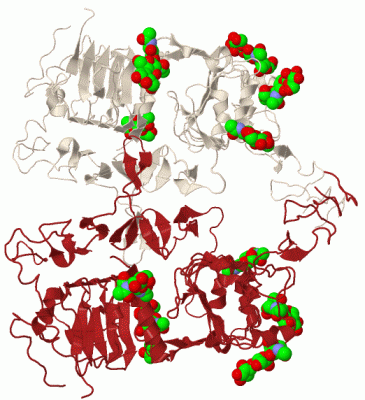 Image Biol.Unit 1 - manually